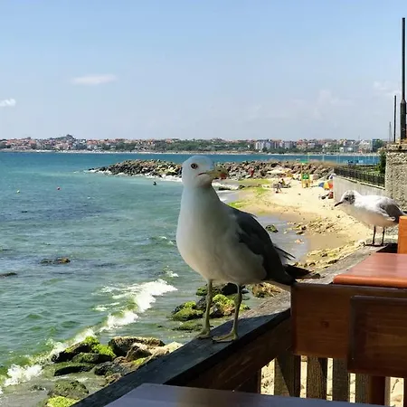 Niko's Deluxe アパート