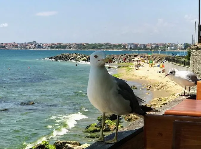 Niko's Deluxe Appartement